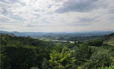 Se vende finca-lote cerca a Buenavista ideal para turismo o vivienda