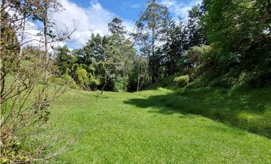 FINCA EN ARRIENDO UBICADA EN EL RETIRO ANTIOQUIA, SECTOR LA MARIA