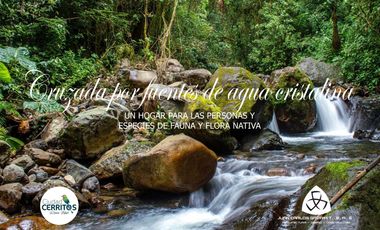 VENTA LOTES CAMPESTRES HERMOSO CONDOMINIO CERRITOS PEREIRA