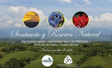 VENTA LOTES CAMPESTRES HERMOSO CONDOMINIO CERRITOS PEREIRA