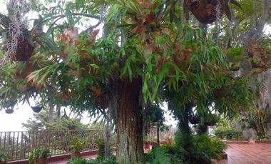 VENTA CASA CAMPESTRE PARCELACION  DAPA YUMBO