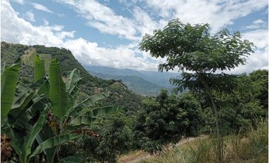 VENDO LOTE PLANO SAN JOAQUIN - LA MESA CUNDINAMARCA