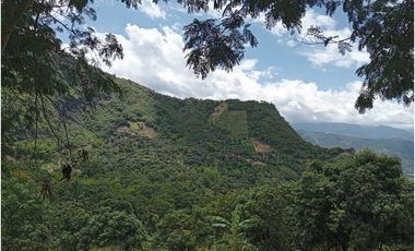 VENDO LOTE PLANO SAN JOAQUIN - LA MESA CUNDINAMARCA