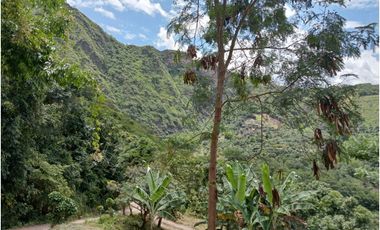 VENDO LOTE PLANO SAN JOAQUIN - LA MESA CUNDINAMARCA