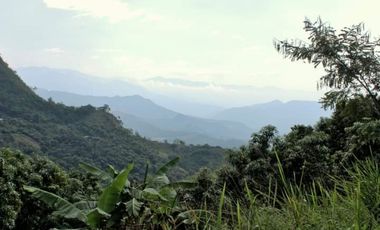 VENDO LOTE PLANO SAN JOAQUIN - LA MESA CUNDINAMARCA