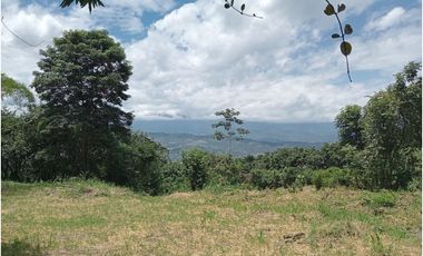 VENDO LOTE PLANO SAN JOAQUIN - LA MESA CUNDINAMARCA