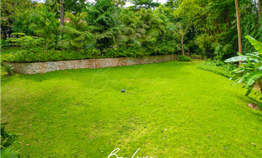 CAMINO DE CRUCES TERRENO EN VENTA (6)