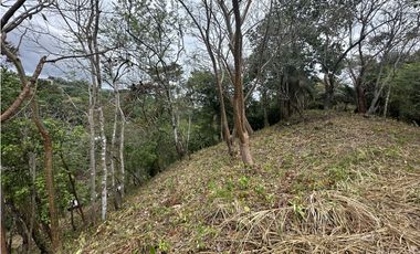 Se Vende Terreno de 8.5 ha en Chivo Chivo, Las Cumbres