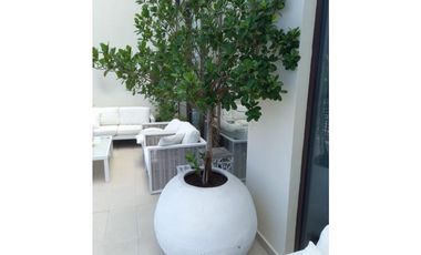Venta - Penthouse en Santa Maria Court
