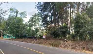 SE VENDE TERRENO EN DOLEGA, CHIRIQU