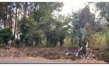SE VENDE TERRENO EN DOLEGA, CHIRIQU