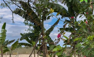 QUINTAS VACACIONALES- LOTES EN EL AROMO - SECTOR LA SIERRITA