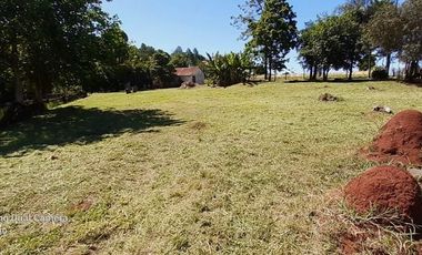 SE VENDE HECTAREAS ZONA AV. COCOMAROLA