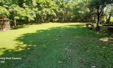 SE VENDE HECTAREAS ZONA AV. COCOMAROLA