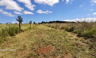 SE VENDE HECTAREAS ZONA AV. COCOMAROLA