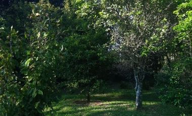 Casa quinta en venta de 3345m2 ubicado en Jardín América
