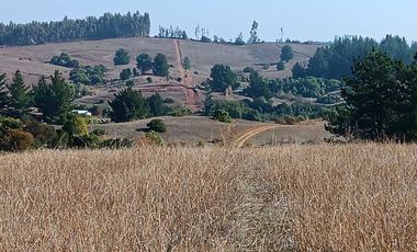 Parcela en venta en YUMBEL