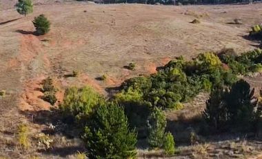 Parcela en venta en YUMBEL