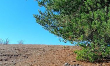 Parcela en venta en YUMBEL