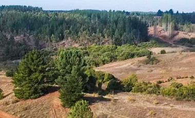 Parcela en venta en YUMBEL