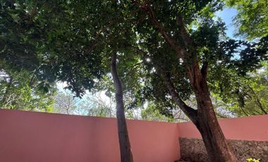 CASA EN EL CENTRO DE MÉRIDA