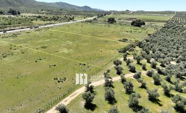 1.0  HA. FRENTE A CARRETERA A LA ENTRADA A SASSI DEL VALLE