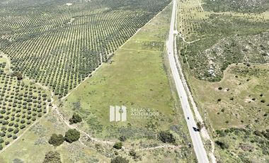 1.0  HA. FRENTE A CARRETERA A LA ENTRADA A SASSI DEL VALLE
