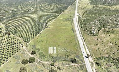 1.0  HA. FRENTE A CARRETERA A LA ENTRADA A SASSI DEL VALLE