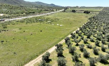 1.0  HA. FRENTE A CARRETERA A LA ENTRADA A SASSI DEL VALLE