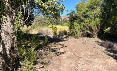 Vendo Ultima Parcela disponible Sector Pintacura Sur Illapel