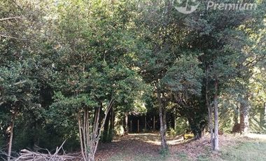 Parcela en Venta en Kilometro 13.7 Sector Pino Huacho Licanray Villarrica.