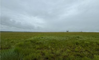 FINCA DE 4.000 HECTAREAS EN VENTA, PUERTO LOPEZ META