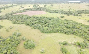 FINCA DE 4.000 HECTAREAS EN VENTA, PUERTO LOPEZ META
