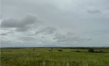 FINCA DE 4.000 HECTAREAS EN VENTA, PUERTO LOPEZ META