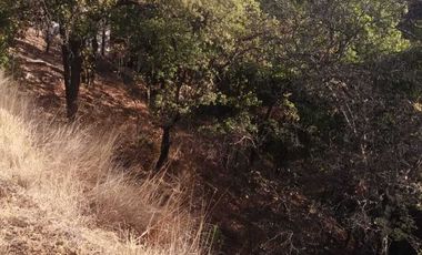 Lote Terreno Residencial Haras  Bosque de las Luces