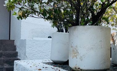 Excelente casa en renta Tlalpan Centro