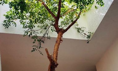 Excelente casa en renta Tlalpan Centro