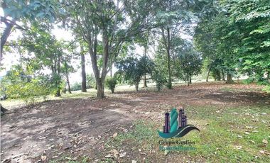 VENDO CASA Y TERRENO DE + 3HECTAREAS
