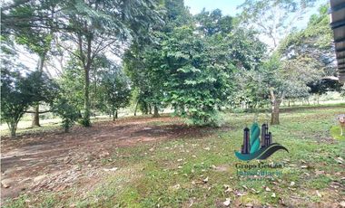 VENDO CASA Y TERRENO DE + 3HECTAREAS