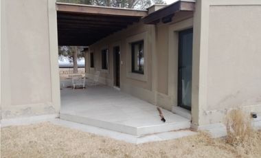 VENTA FINCA EN PRODUCCIÓN 75 HAS EN UGARTECHE- LUJAN DE CUYO, MZA.