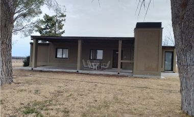 VENTA FINCA EN PRODUCCIÓN 75 HAS EN UGARTECHE- LUJAN DE CUYO, MZA.