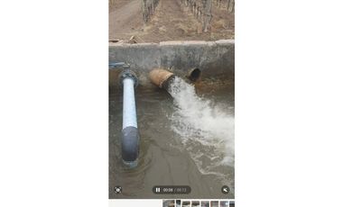 VENTA FINCA EN PRODUCCIÓN 75 HAS EN UGARTECHE- LUJAN DE CUYO, MZA.