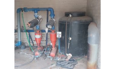 VENTA FINCA EN PRODUCCIÓN 75 HAS EN UGARTECHE- LUJAN DE CUYO, MZA.