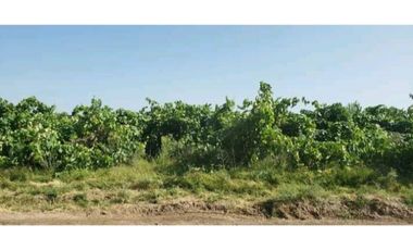 VENTA DE EXCEPCIONAL FINCA 489 HAS, EN COSTA DE ARAUJO- LAVALLE, MZA.