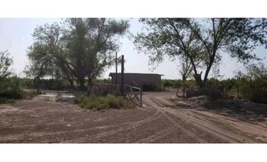 VENTA DE EXCEPCIONAL FINCA 489 HAS, EN COSTA DE ARAUJO- LAVALLE, MZA.