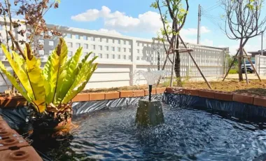 3 Bedroom House for sale in San Sai, Chiang Rai