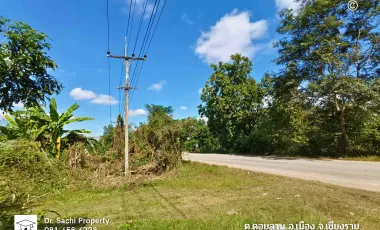 Land for sale in Doi Lan, Chiang Rai