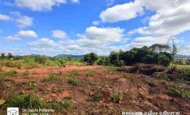Land for sale in Doi Lan, Chiang Rai