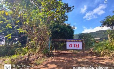 Land for sale in Doi Lan, Chiang Rai