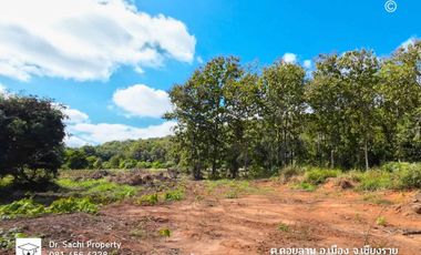 Land for sale in Doi Lan, Chiang Rai